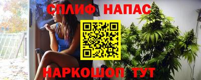 дживик Бердск