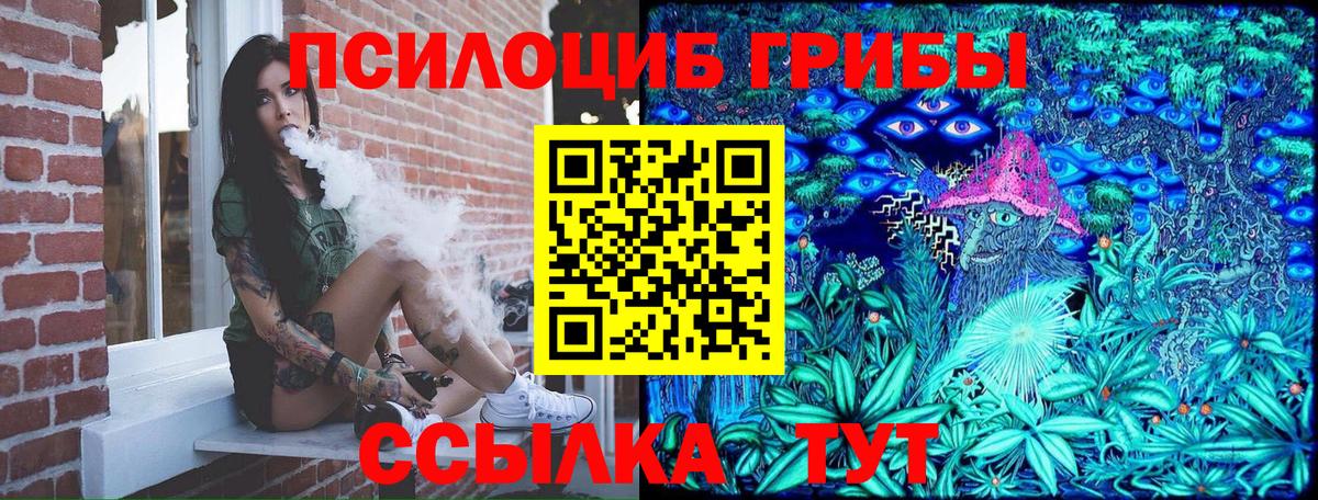 Псилоцибиновые грибы Psilocybe Алушта