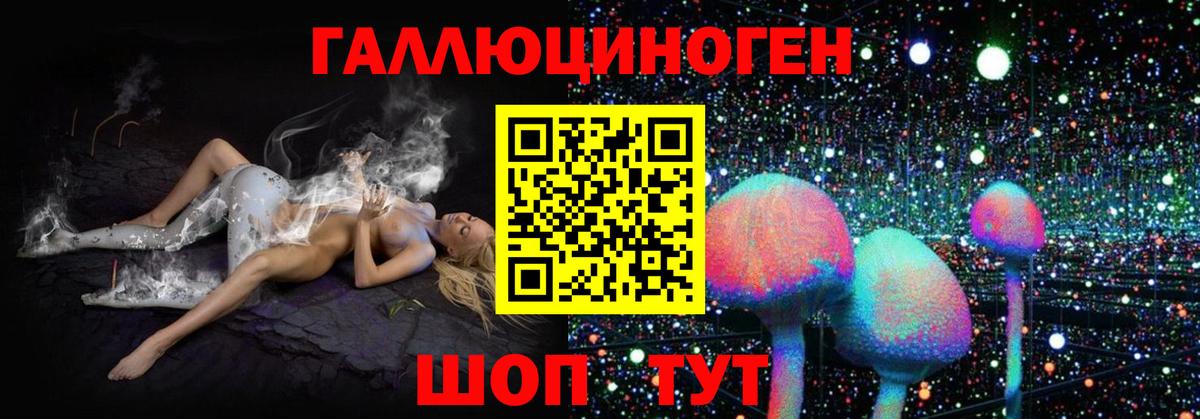 Алушта  Псилоцибиновые грибы Cubensis  Вход с VPN 